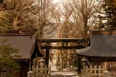 諏訪大社上社前宮(長野県)