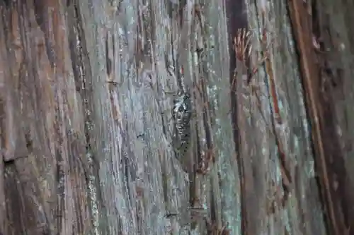 鹿島大神宮の自然