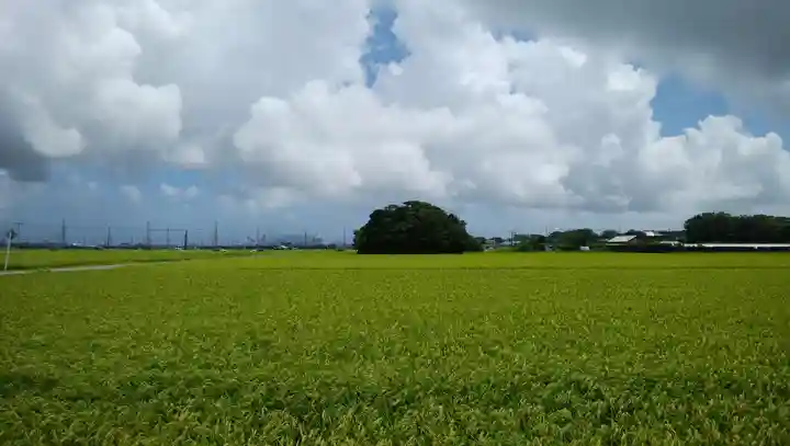 神社(名称不明)の景色