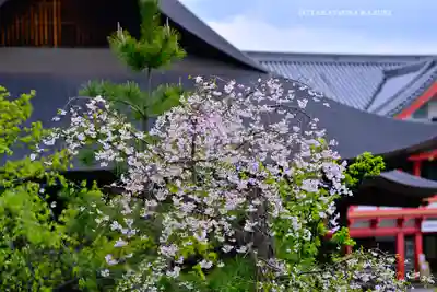 高幡不動尊　金剛寺(東京都)