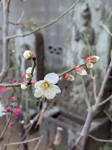 田端神社(東京都)