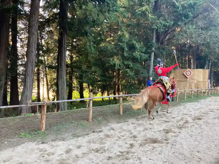 出雲伊波比神社(埼玉県)