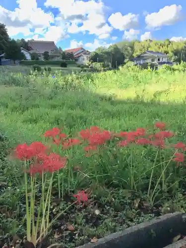 神魂神社の自然