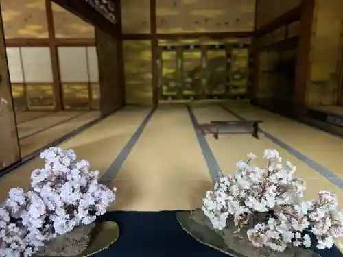 仁和寺(京都府)