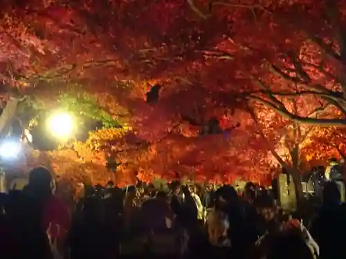 大山寺(神奈川県)