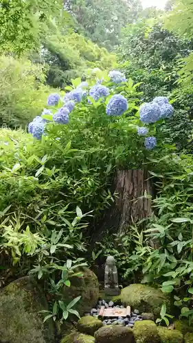 杉本寺の自然