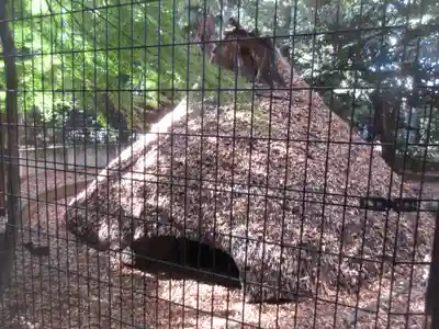 代々木八幡宮(東京都)