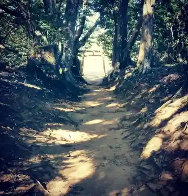 塩釜神社の自然