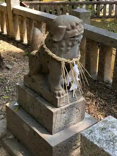 坂本八幡神社の狛犬