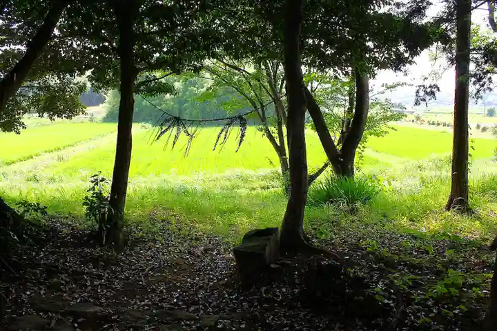 若宮神社(島根県)