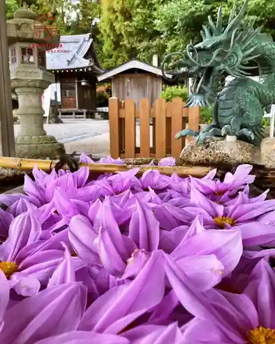 立志神社(滋賀県)
