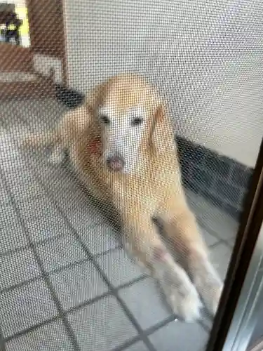 石清水神社(香川県)