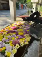 二本松神社(福島県)