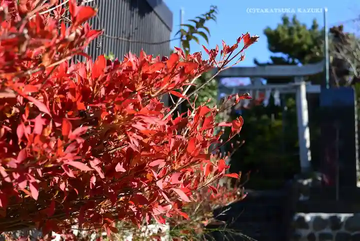 横浜御嶽神社(神奈川県)
