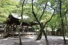 金崎宮の本殿