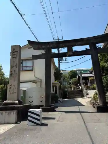 白山神社(東京都)