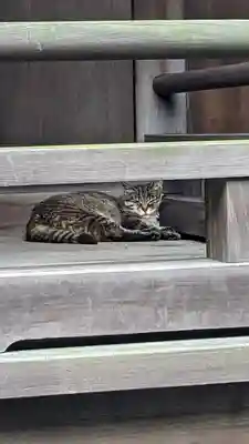 太田姫稲荷神社(東京都)