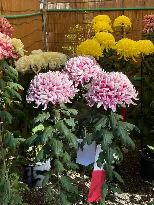 高麗神社の自然