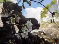 前原御嶽神社の自然