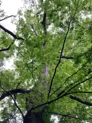 日先神社(茨城県)