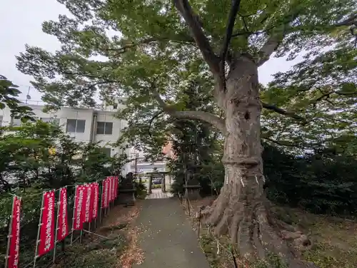 愛宕神社(福島県)