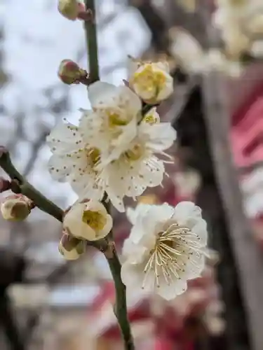 成子天神社(東京都)