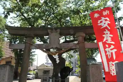 阿邪訶根神社の鳥居