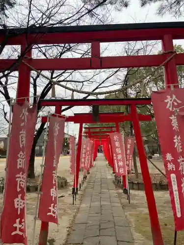 於菊稲荷神社の鳥居