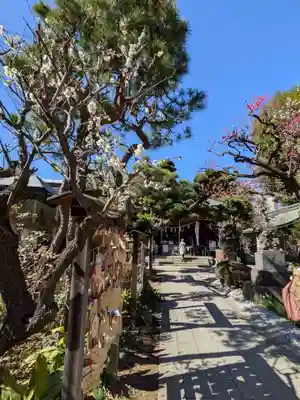 鳩森八幡神社(東京都)