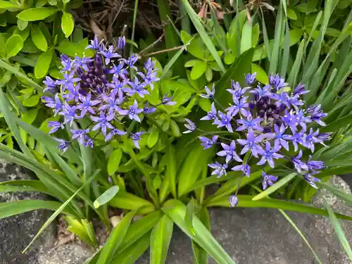 福山八幡宮(広島県)