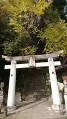 小島阿蘇神社の鳥居