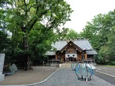 旭川神社の本殿・本堂