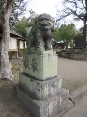 鶴谷八幡宮の狛犬