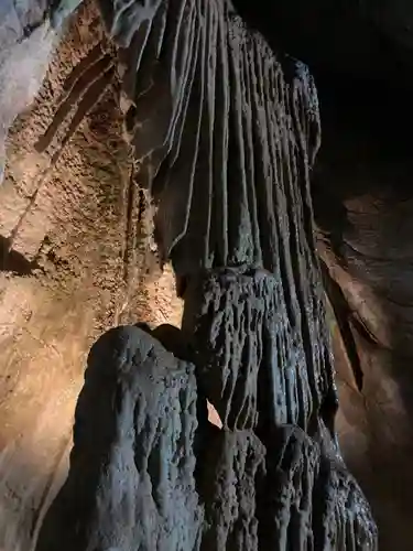 龍王神社の自然