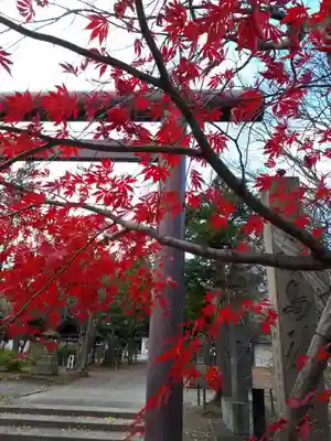 北広島市総鎮守　廣島神社のその他建物