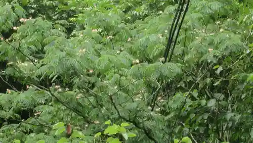 高館義経堂(岩手県)