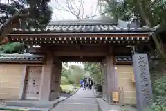 報国寺の山門