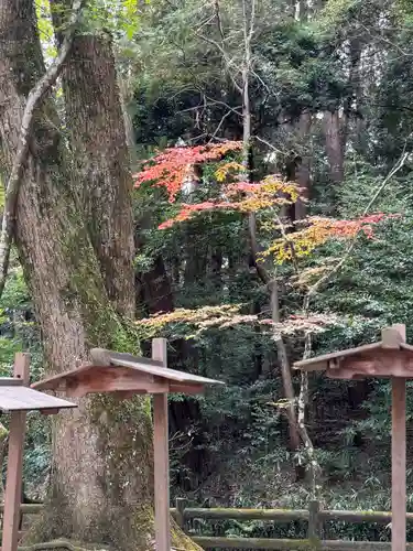 石上神宮(奈良県)