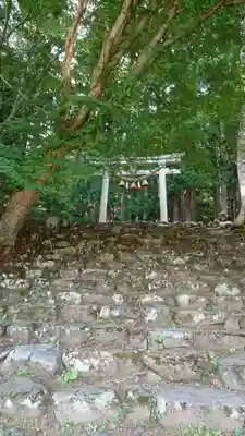 伊須流岐比古神社の鳥居