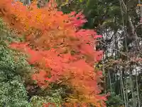 延命寺(大阪府)