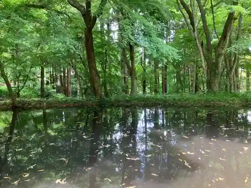 中尊寺 弁財天堂(岩手県)