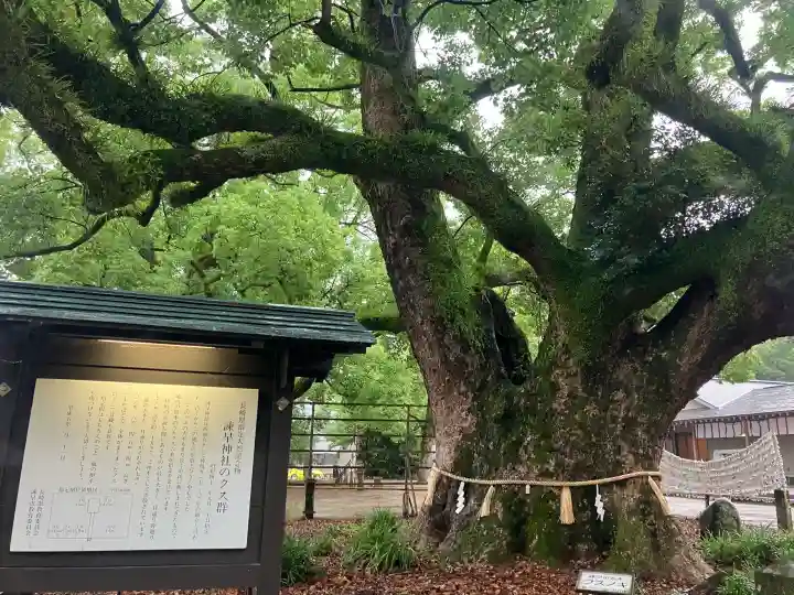 諫早神社(九州総守護 四面宮)(長崎県)
