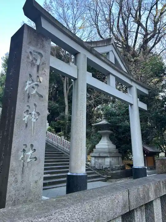日枝神社(東京都)