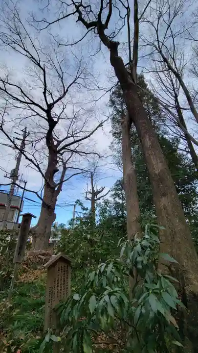 柞祖霊社の自然