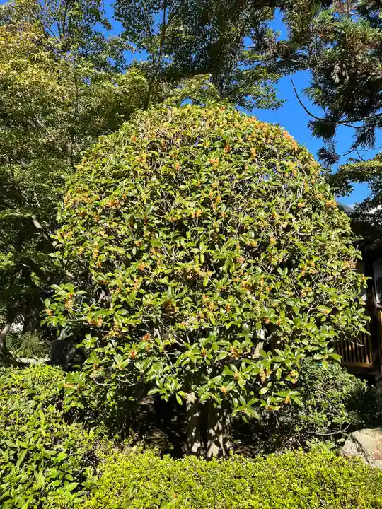 伊勢の国 四天王寺(三重県)