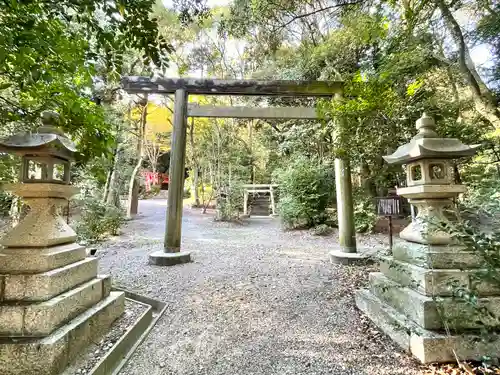 小向神社の鳥居