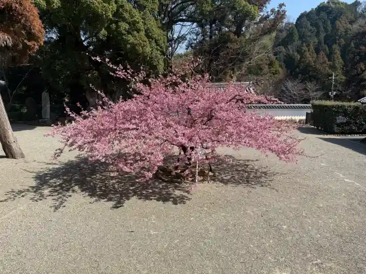 粉河寺の{uncategorized: "未分類", other: "その他", undefined: "問題あり", building: "その他建物", grave: "お墓", sacred_gate: "鳥居", guardian: "狛犬", statue: "像", buddha: "仏像", history: "歴史", nature: "自然", garden: "庭園", animal: "動物", pagoda: "塔", temizu: "手水舎", mountain_gate: "山門・神門", sanctuary: "本殿・本堂", subordinate: "末社・摂社", art: "芸術", scenery: "景色", jizo: "地蔵", ema: "絵馬", goshuin: "御朱印", omikuji: "おみくじ", items: "授与品その他", amulet: "お守り", goshuincho: "御朱印帳", eats: "食事", festival: "お祭り", votive_dance: "神楽", shichigosan: "七五三参", wedding: "結婚式", experience: "体験その他", initially: "初詣", around: "周辺", anti_infection: "感染症対策"}