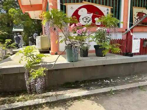 住吉神社(兵庫県)