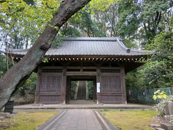 武蔵国分寺の{uncategorized: "未分類", other: "その他", undefined: "問題あり", building: "その他建物", grave: "お墓", sacred_gate: "鳥居", guardian: "狛犬", statue: "像", buddha: "仏像", history: "歴史", nature: "自然", garden: "庭園", animal: "動物", pagoda: "塔", temizu: "手水舎", mountain_gate: "山門・神門", sanctuary: "本殿・本堂", subordinate: "末社・摂社", art: "芸術", scenery: "景色", jizo: "地蔵", ema: "絵馬", goshuin: "御朱印", omikuji: "おみくじ", items: "授与品その他", amulet: "お守り", goshuincho: "御朱印帳", eats: "食事", festival: "お祭り", votive_dance: "神楽", shichigosan: "七五三参", wedding: "結婚式", experience: "体験その他", initially: "初詣", around: "周辺", anti_infection: "感染症対策"}