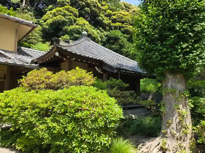 白山神社(神奈川県)